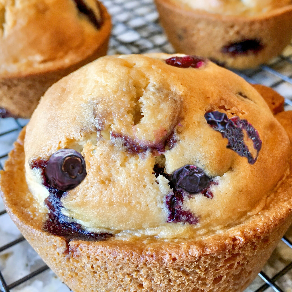 Blueberry Muffins